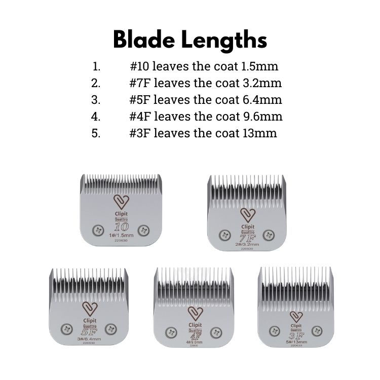 Thumbnail: Clipit Titanium Blade Lengths
