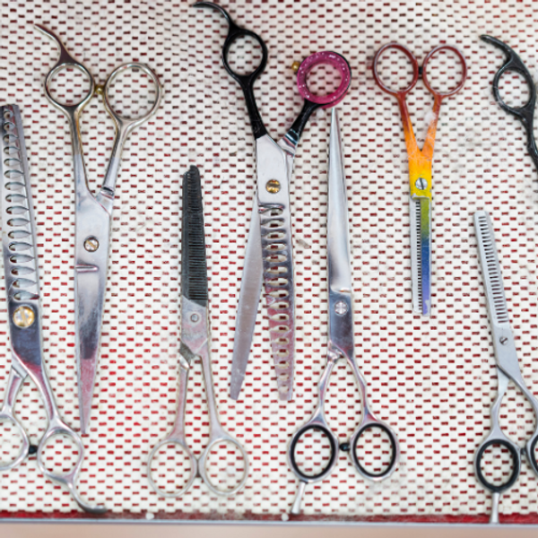 How To Clean Dog Grooming Scissors Clipit Grooming