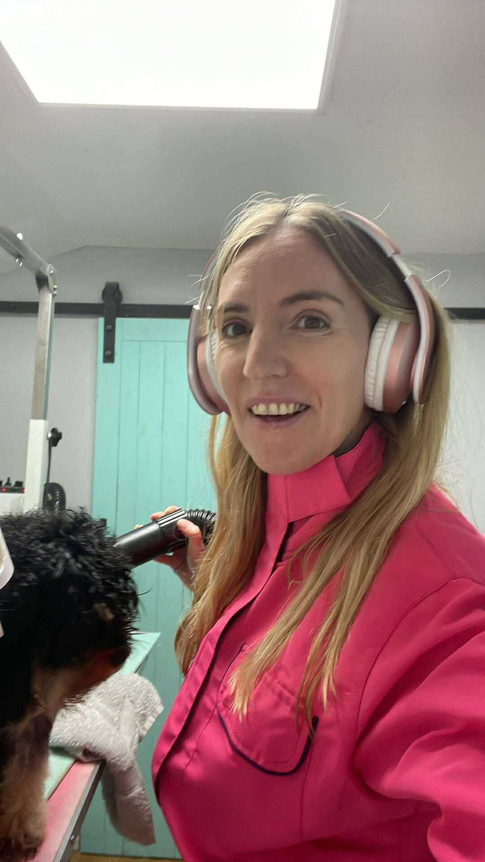 Professional dog groomer wearing the Clipit grooming suit while drying a dog using a high velocity dryer and protective ear defenders in a busy salon environment.