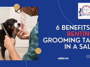 6 Benefits of Renting a Grooming Table in a Salon