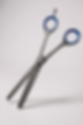 Progroom 6" thinning scissors with open blades