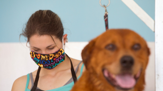 A dog groomer with a face mask over her mouth