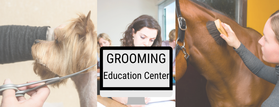 GROOMING.png