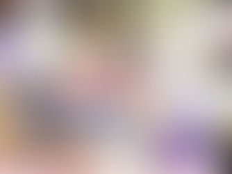 A dog groomer brushing a Rough Collie dog