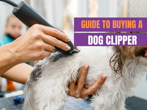 Expert Insights into Choosing the Right Clippers