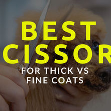 Best Dog Grooming Scissors for Thick Coats vs Fine Coats