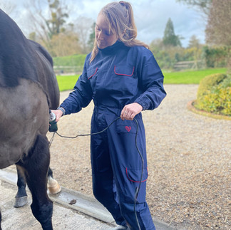 a woman wearing a clipit suit clipping a horse