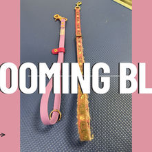 Why BioThane® Grooming Nooses Are Replacing Webbing in Professional Salons