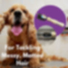 dematter being used on a dog