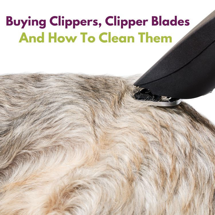 How To Keep Clippers Cool Dog