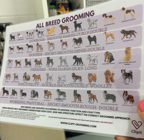 Poster Types Of Purebred Dogs 40 Purebred Dog Breeds" Poster For Sale By DusicaP Redbubble