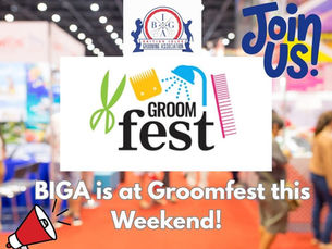 BIGA is at Groomfest this weekend