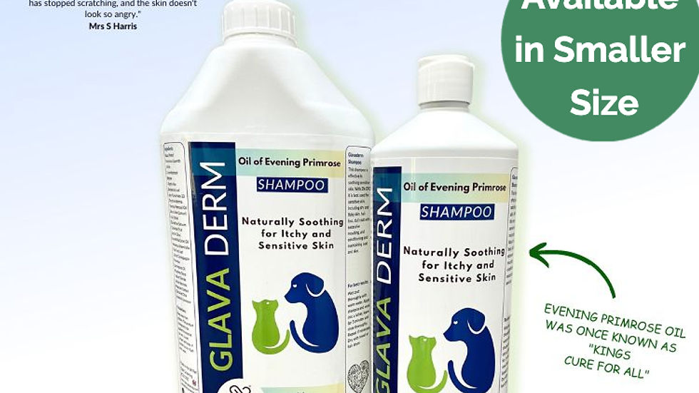 Clipit Glavaderm Dog Shampoo is formulated with a blend of Evening Primrose Oil and other botanicals to effectively soothe sensitive skin.