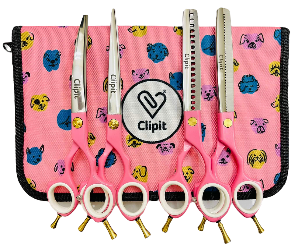 Thumbnail: The Asian Fusion set of scissor in pink colour