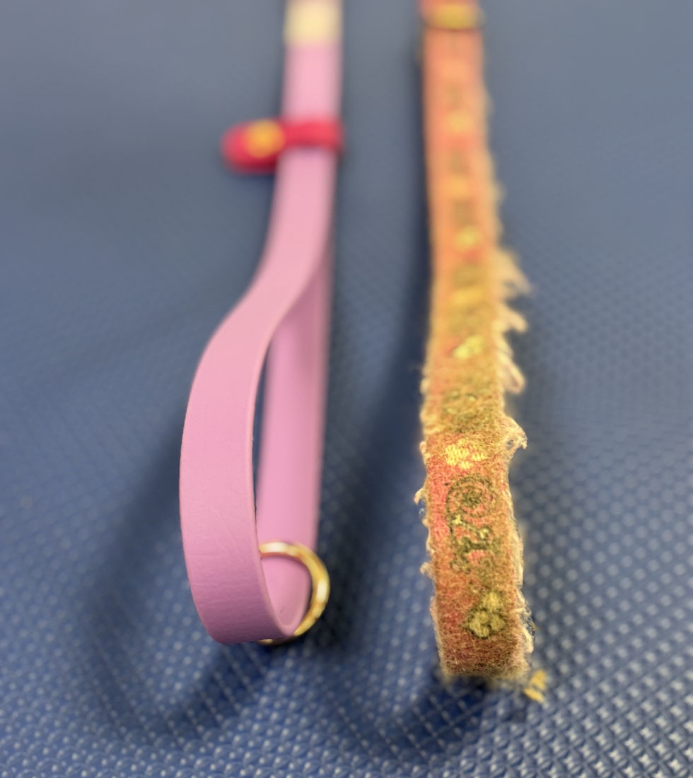 A biothane webbing noose laying next to a frayed webbing noose that is showing signs of deteriation.