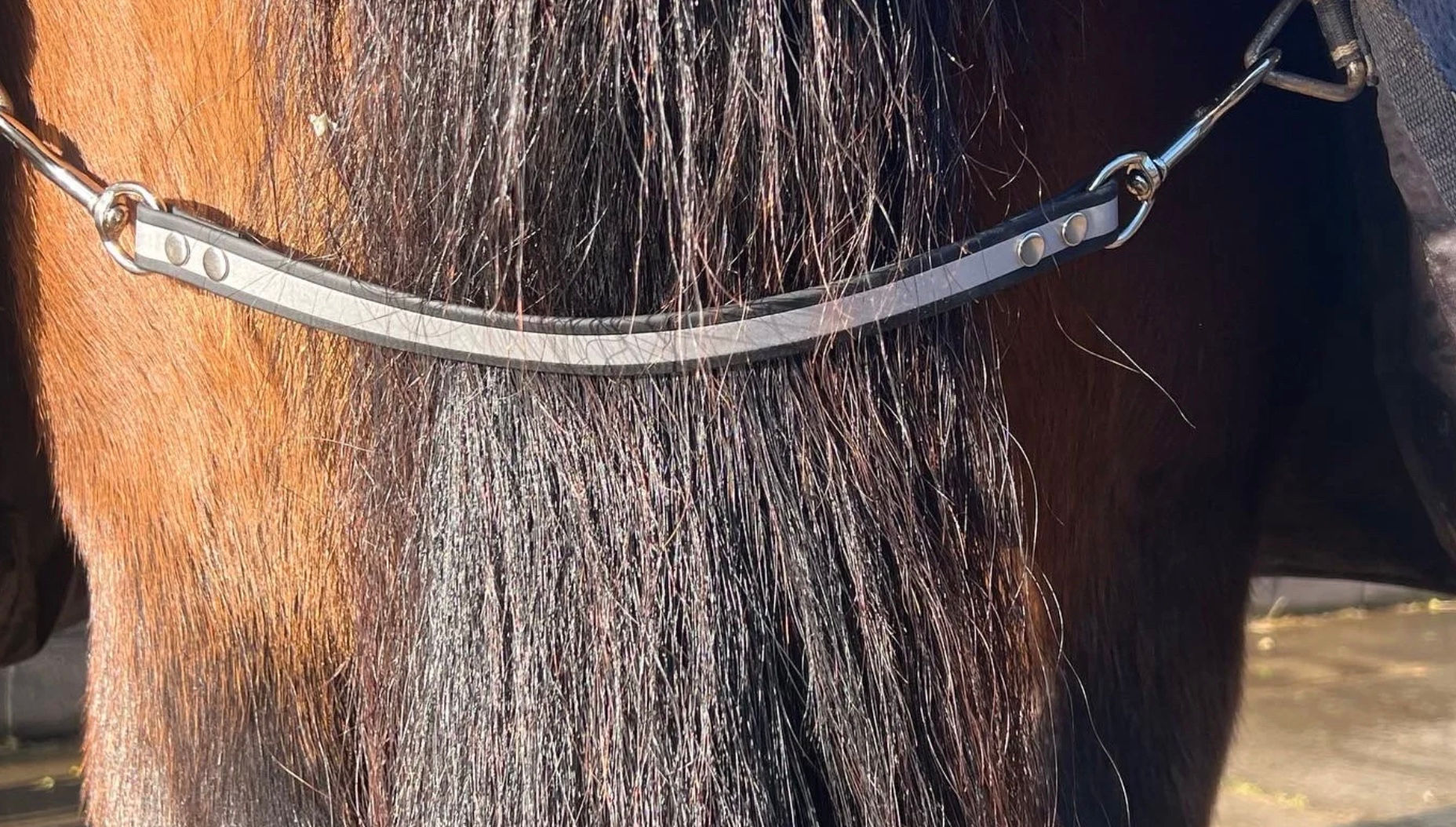 jellyB Hi-Viz Fillet String - All Sizes