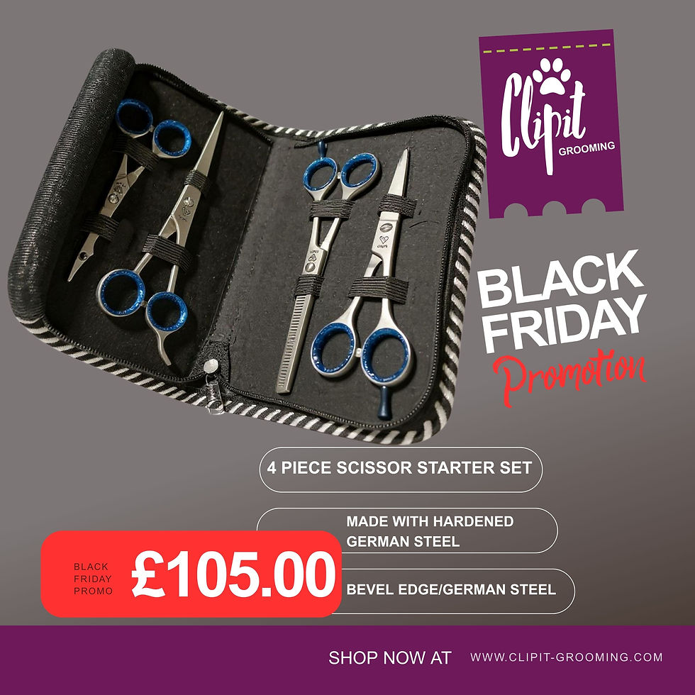 Black Friday deal with scissor set on black background.