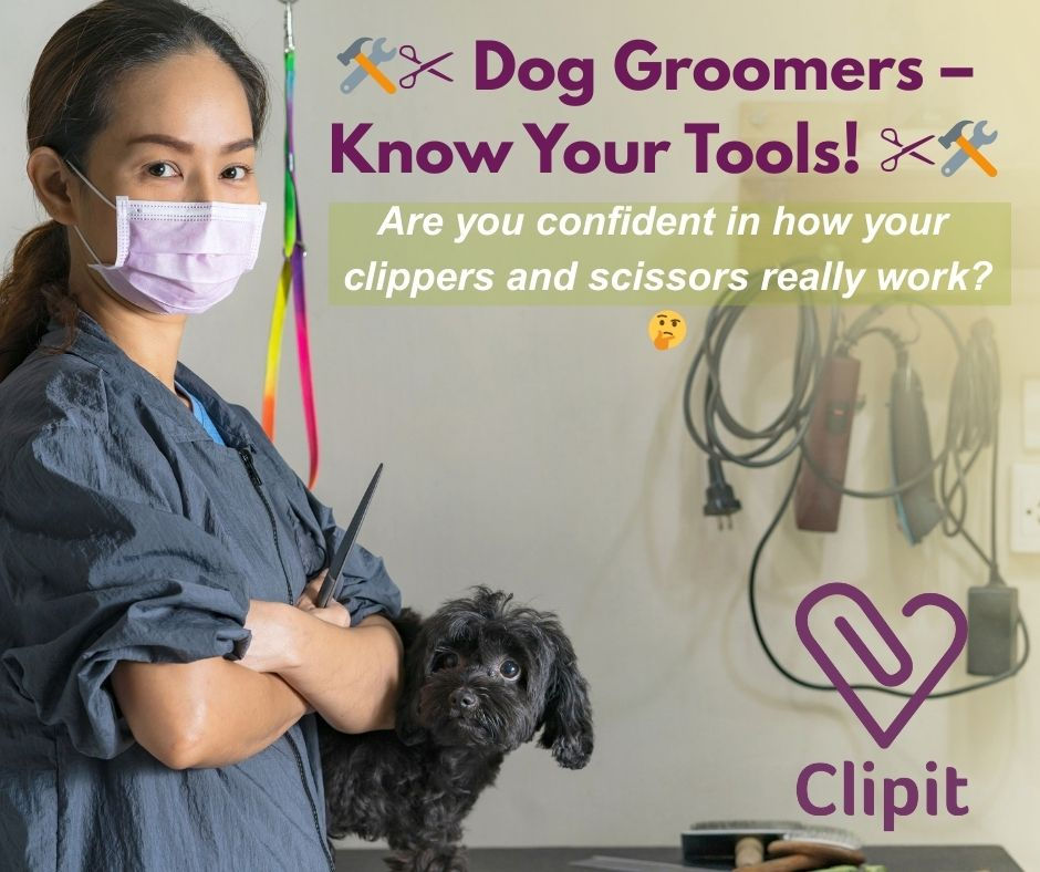 A groomer with a face mask looking confident when it comes to cleaning her tools.