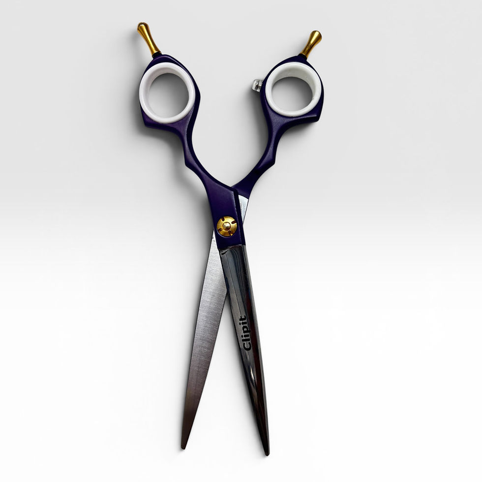 Thumbnail: The Asian Fusion scissor with the blades pointing down showing the convex edges.