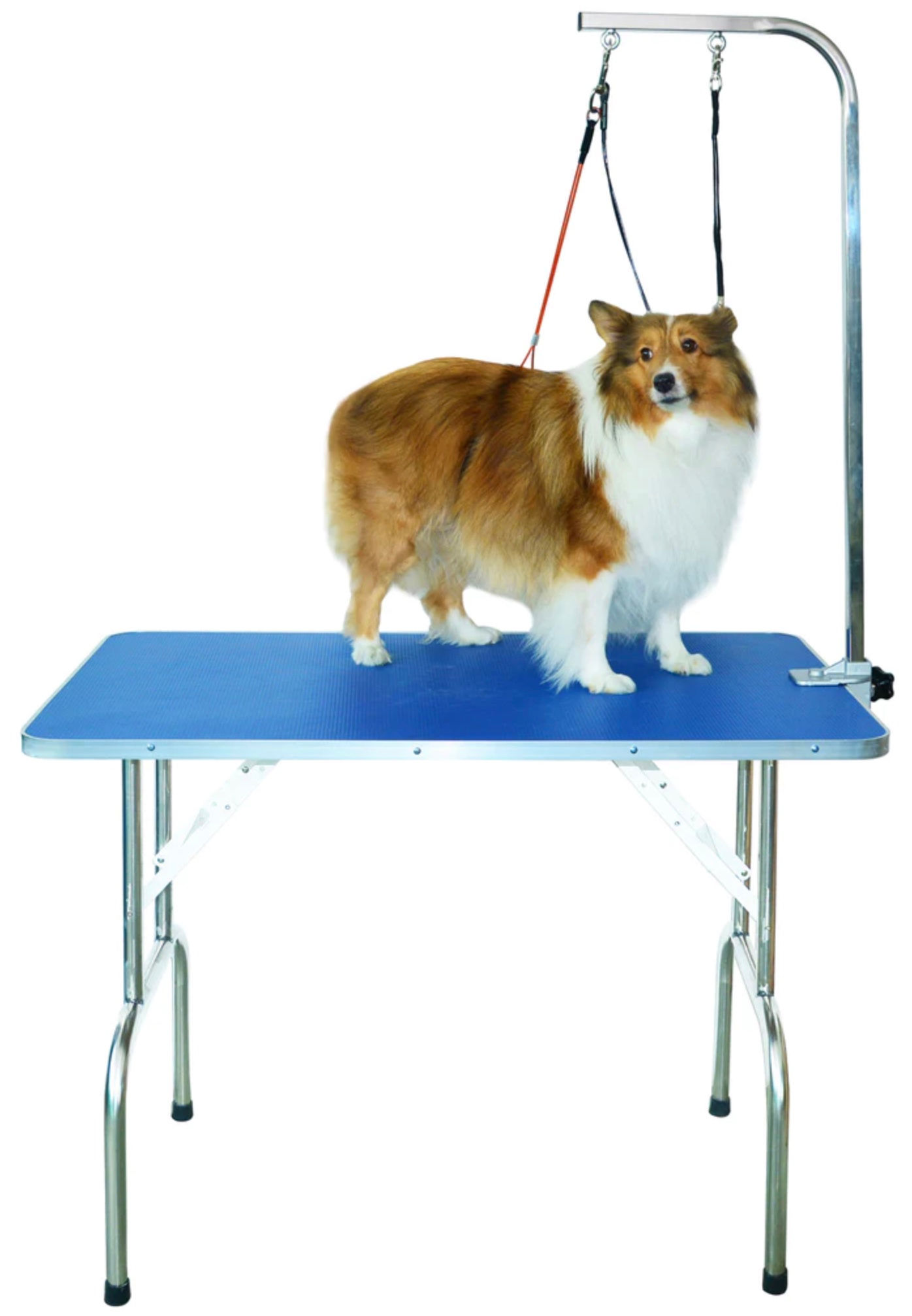 Portable Grooming Table with Grooming Arm