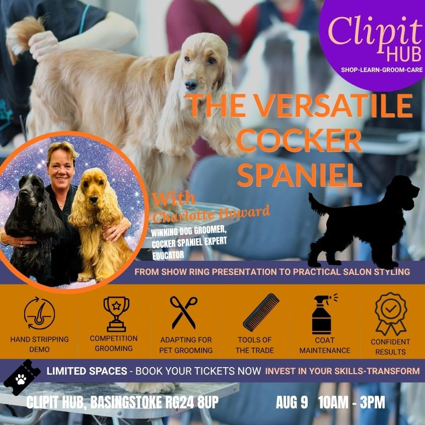 Clipit The Versatile Cocker Spaniel | Clipit Grooming