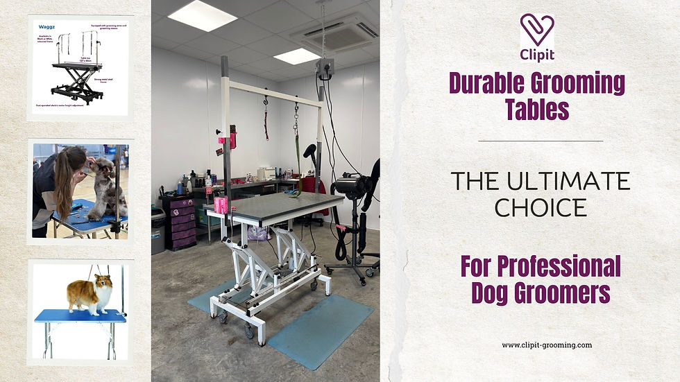 Choose the best Grooming Table for you.