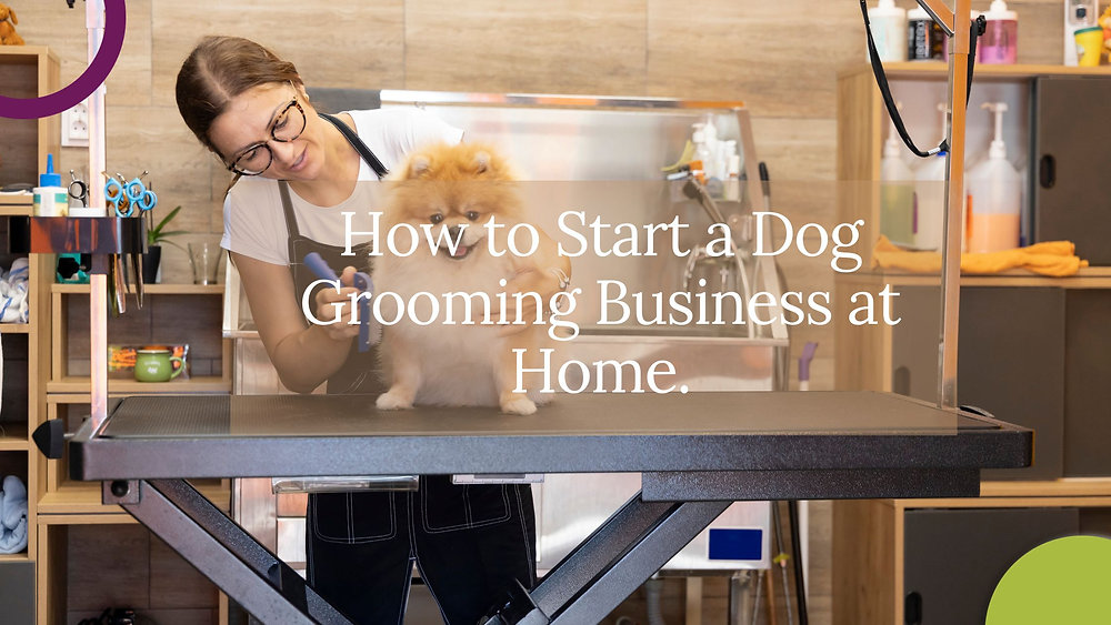 How to Start and Grow a Profitable HomeBased Dog Grooming