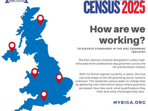 Help Shape the Future of Dog Grooming: Take Part in the BIGA Groomers Census 2025
