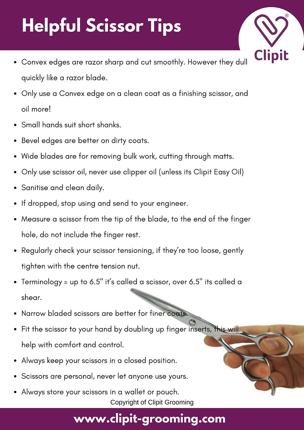 The Ultimate Guide to Choosing the Perfect Scissors for Dog ...