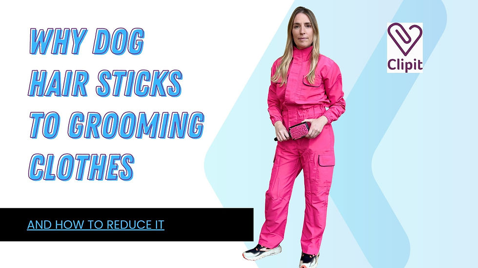 Why Dog Hair Sticks to Grooming Clothes
