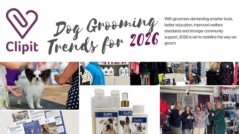 Dog Grooming Trends for 2026: What’s Changing and How Groomers Can Stay Ahead