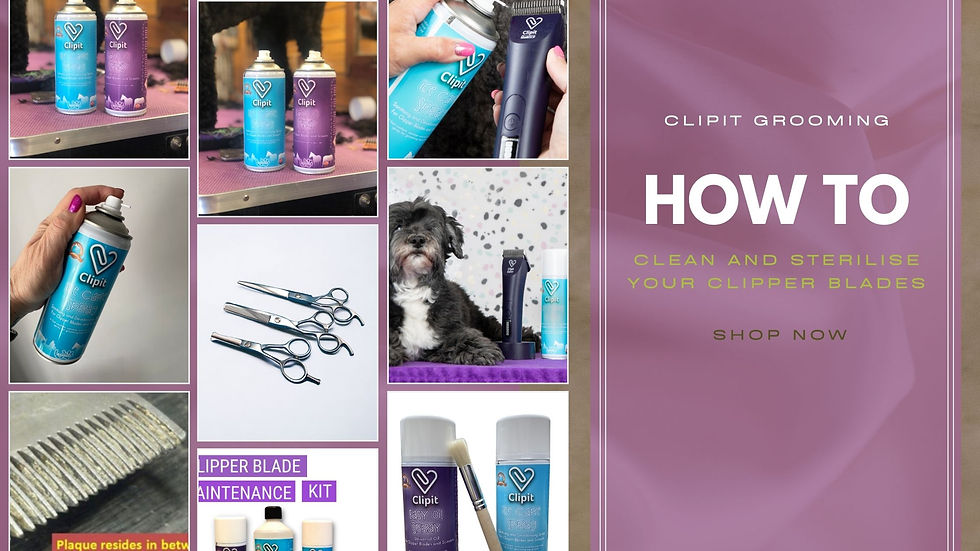 ice care spray being used in various ways