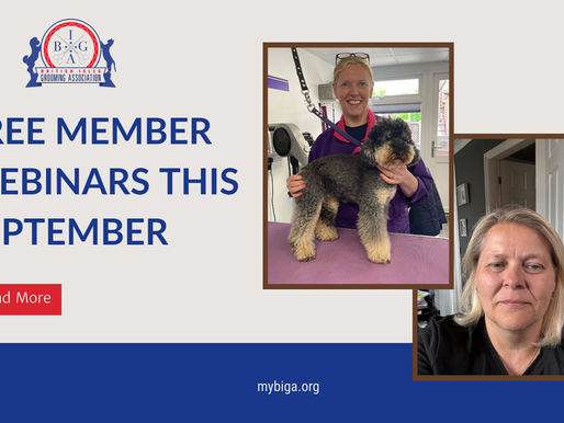 Two Free BIGA Webinars This September You Won’t Want to Miss