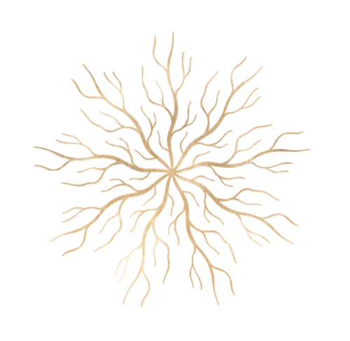 Alchemy of Expression - VISUALS (1).png