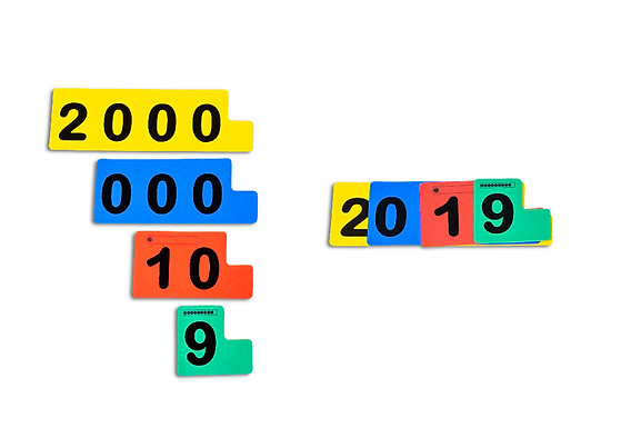 Fichas Sobrepostas para Numeração (2 em 1)