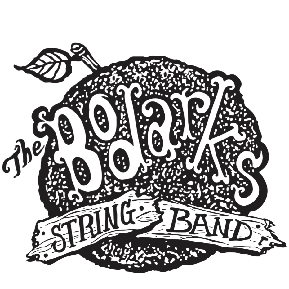 The Bodarks Hootenanny String Band