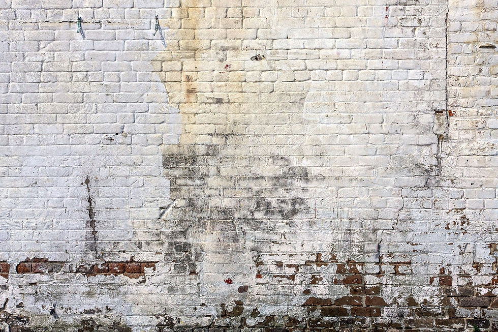 Damp-stained Victorian brick wall in a North London leasehold flat