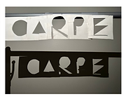 carpe diem for wix portfolio.png