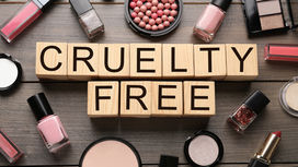 The Best Cruelty-Free Beauty & Wellness Products