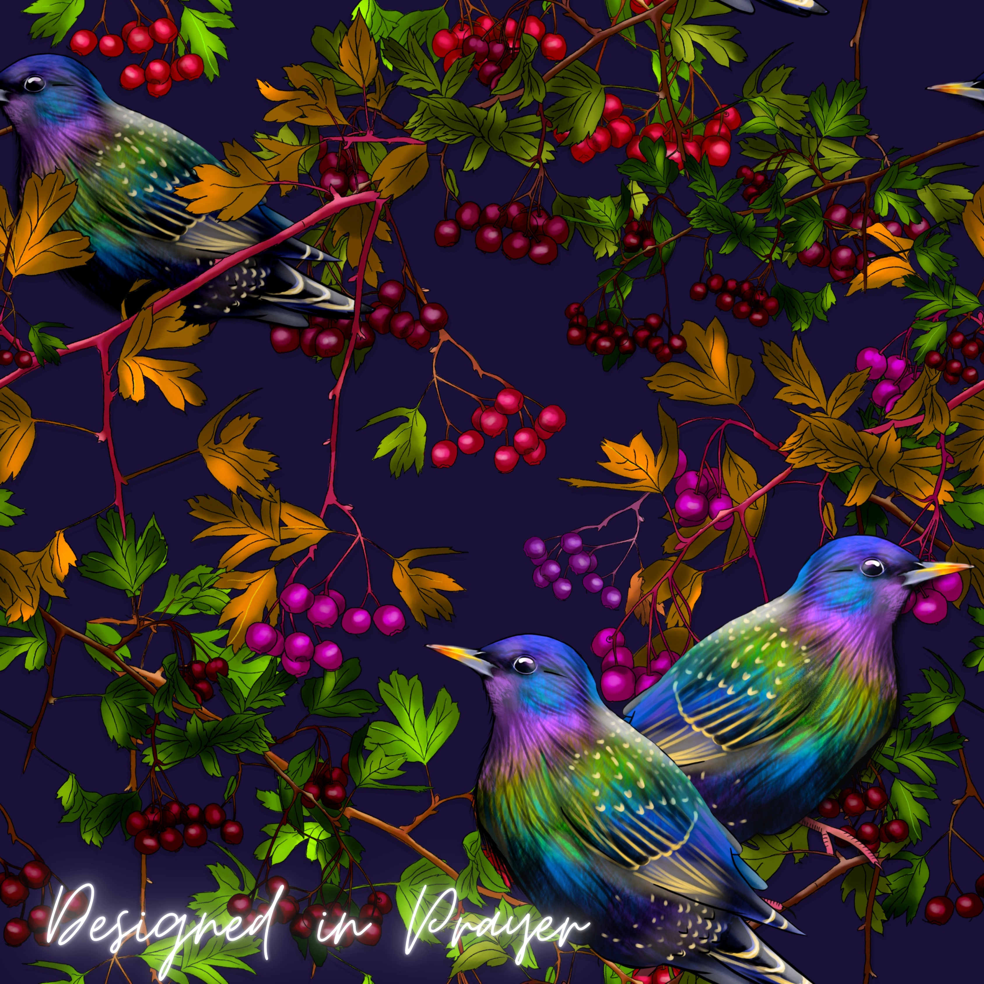 Starlings amongst Hawthorn Berries 🍒Dark Purple