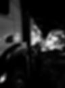 20221008_210827_edited_edited_edited_edited_edited_edited.jpg