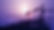 purple construction.jpg