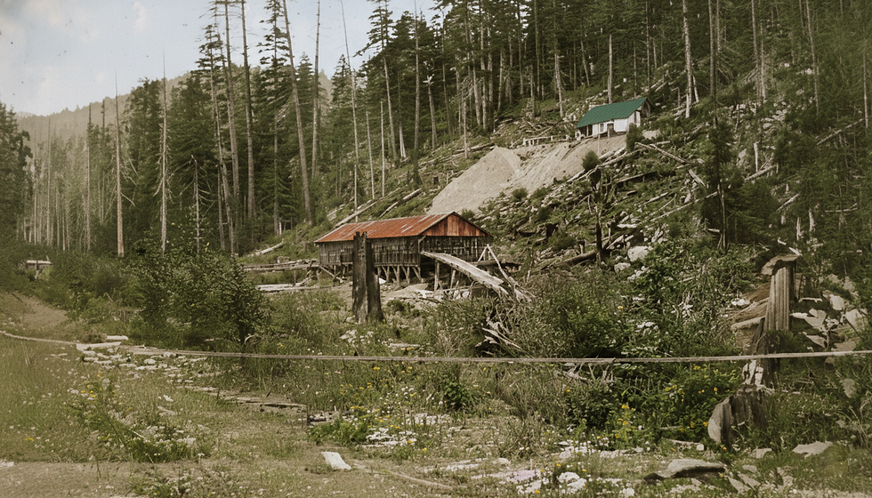 The King Solomon Mine