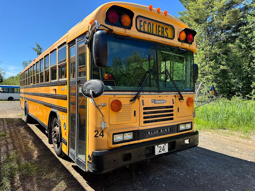Autobus Bluebird TC3000 12-238