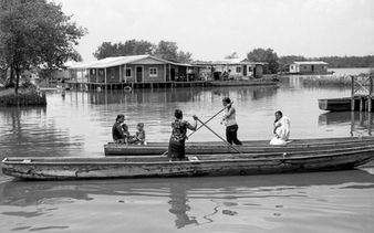 Taxis. Cienaga Grande de Santa Marta, Colombia. 2009