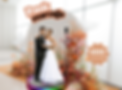 Pack mariage (4).png
