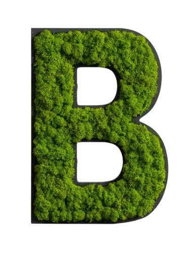 Miniaturbild: Piktogramm: Buchstaben Islandmoos