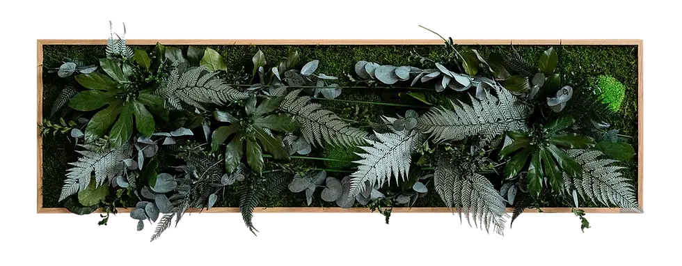 Miniaturbild: Pflanzenbild im Dschungeldesign 140x40