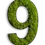 Miniaturbild: Piktogramm: Zahl Islandmoos