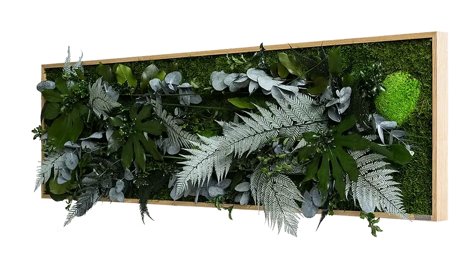 Miniaturbild: Pflanzenbild im Dschungeldesign 140x40